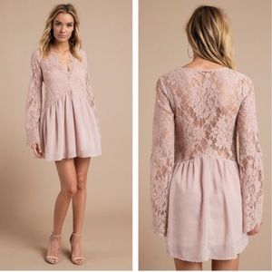 Tobi blush lace shift dress